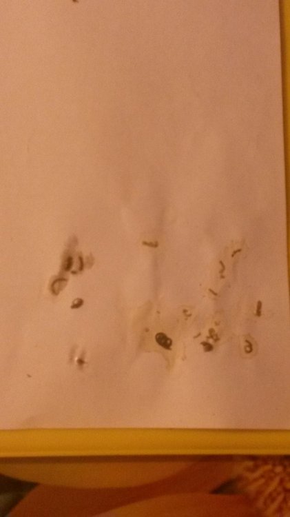 20190208_194915.jpg