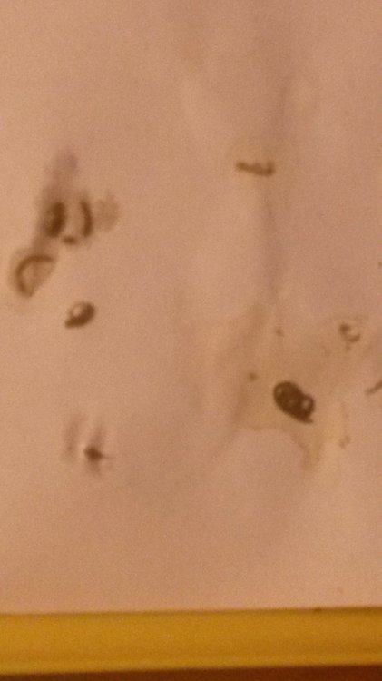 20190208_194926.jpg