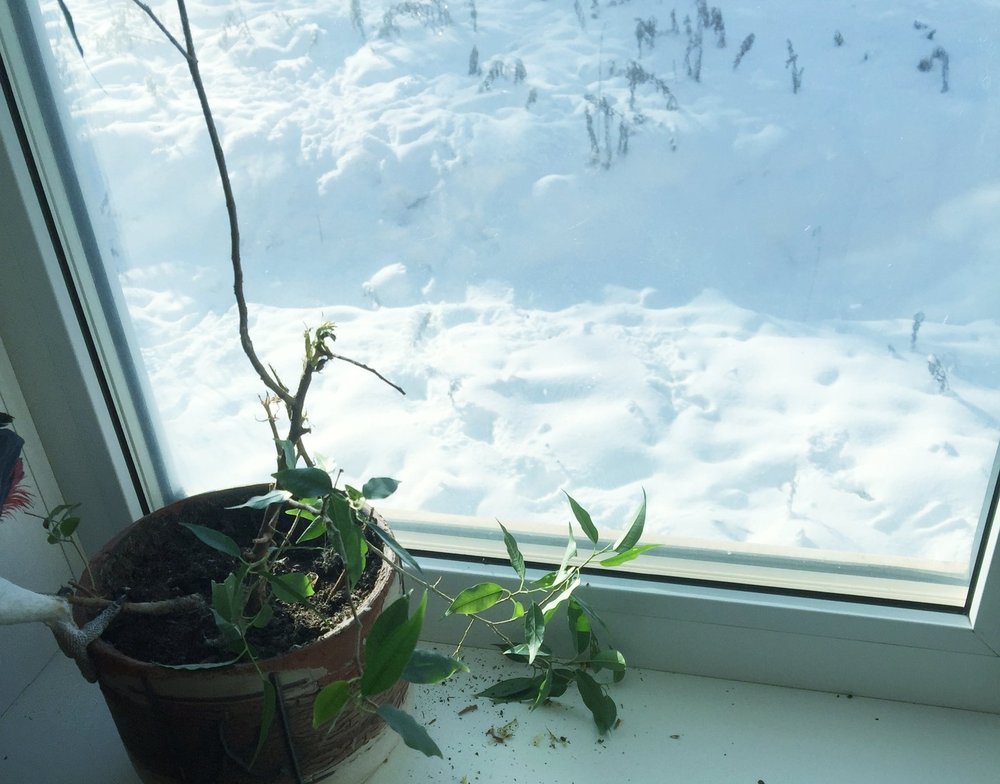 20190209_130440.jpg