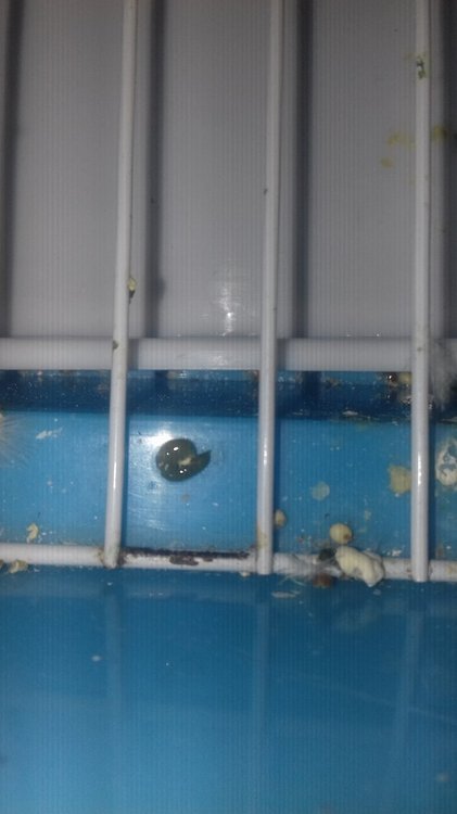 20190216_133529.jpg