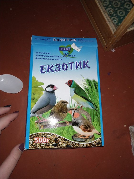 IMG_20190316_225434.jpg