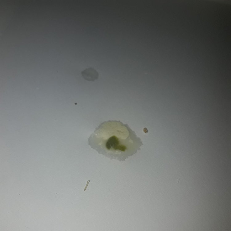 20190302_181538.jpg