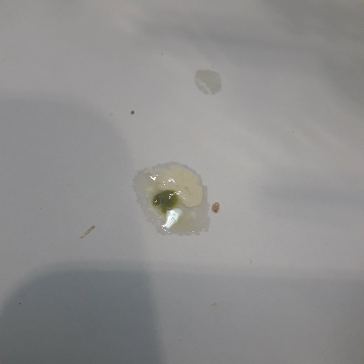 20190302_181604.jpg