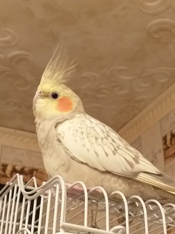 20190308_210101.jpg
