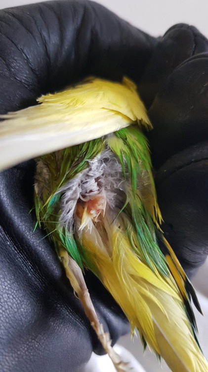 20190310_140621.jpg