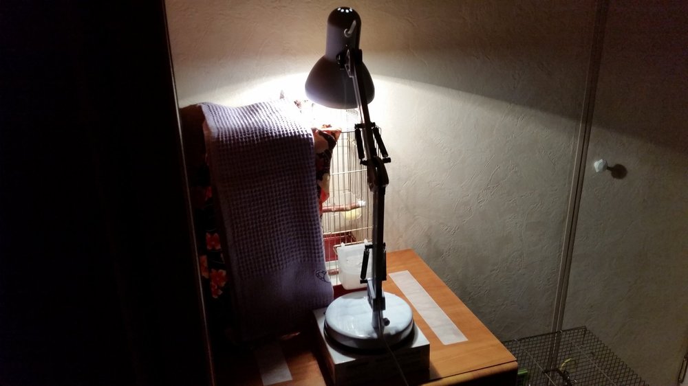 20190313_014322.jpg