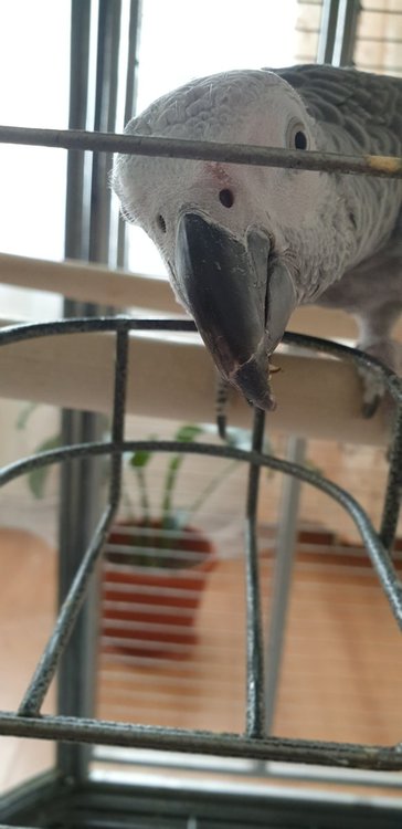 20190315_122727.jpg