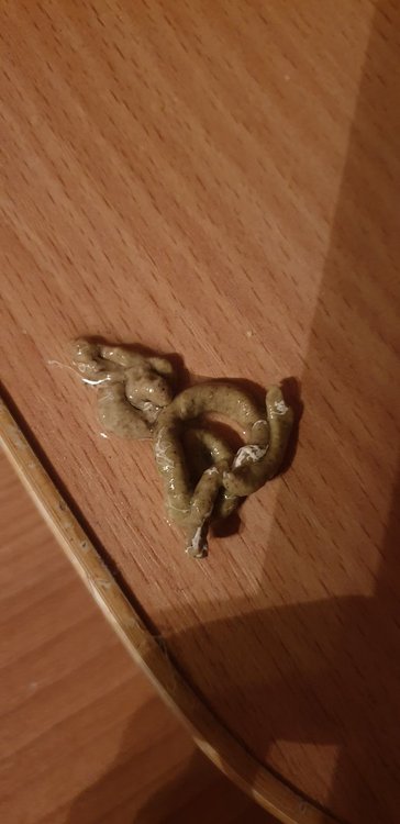 20190315_215037.jpg