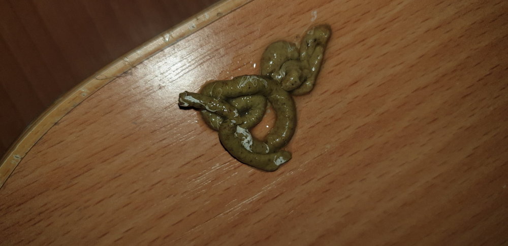 20190315_215215.jpg