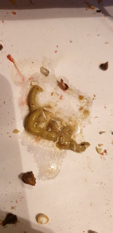 20190315_222548.jpg