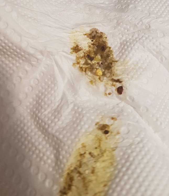 20190317_093041.jpg