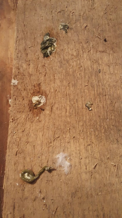 20190317_214007.jpg