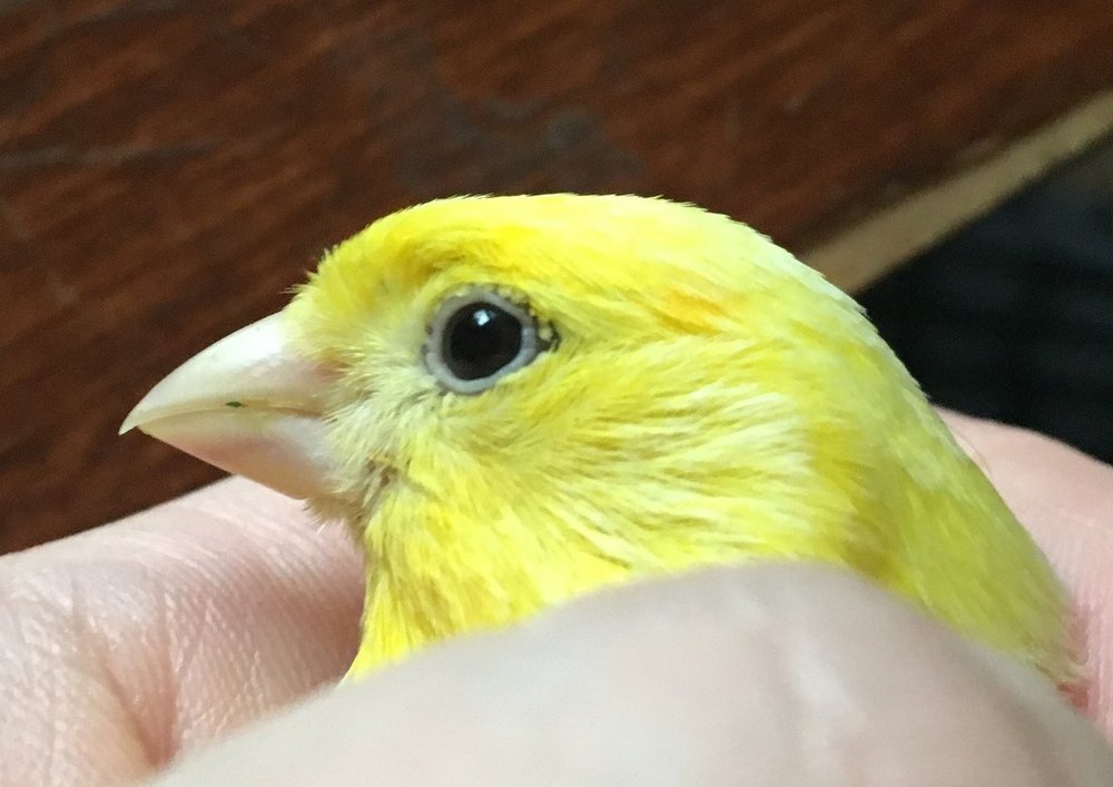 2ln-yW1i5h0.jpg