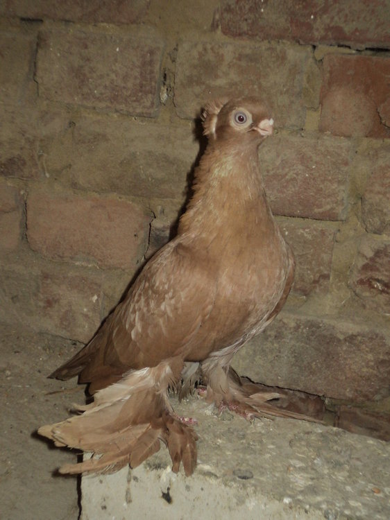 DSC04984.JPG