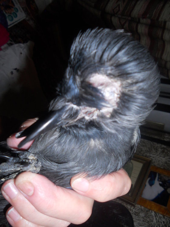 DSCN3067.JPG