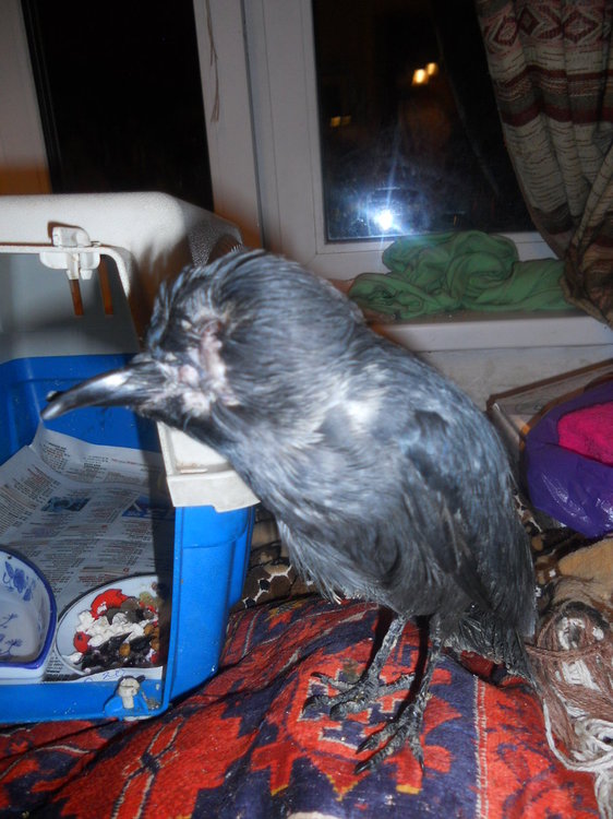 DSCN3073.JPG