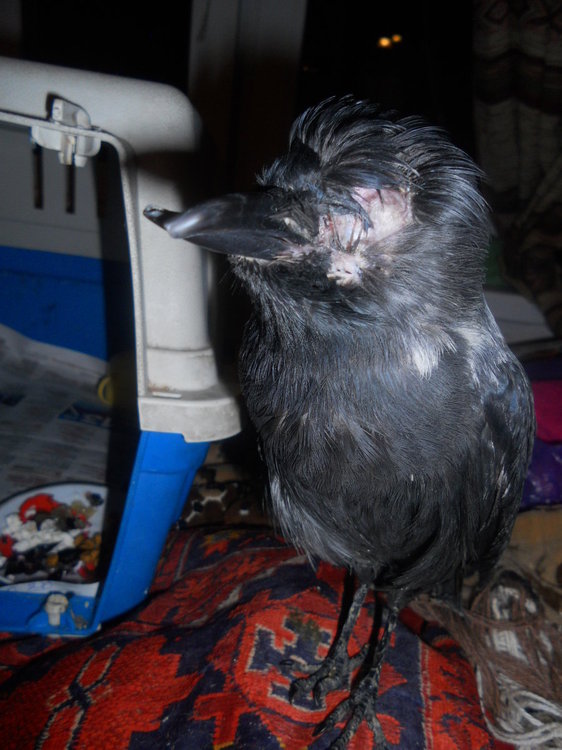 DSCN3074.JPG