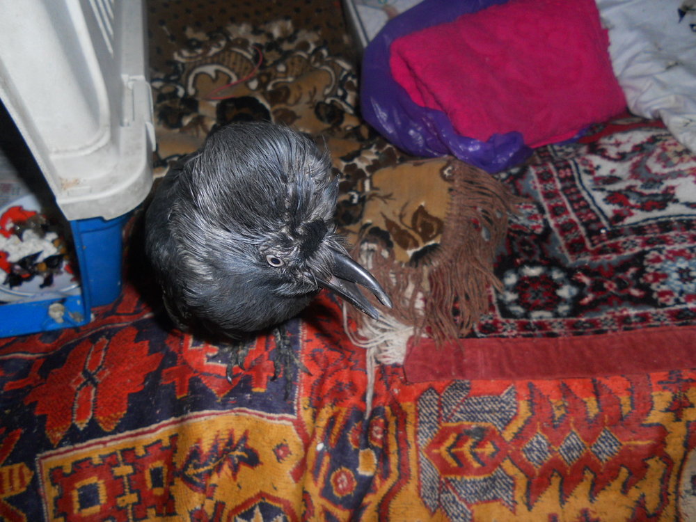 DSCN3076.JPG