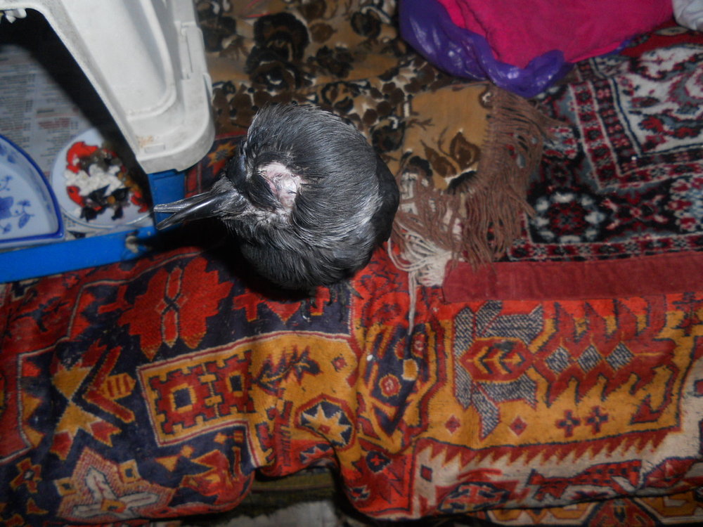 DSCN3078.JPG
