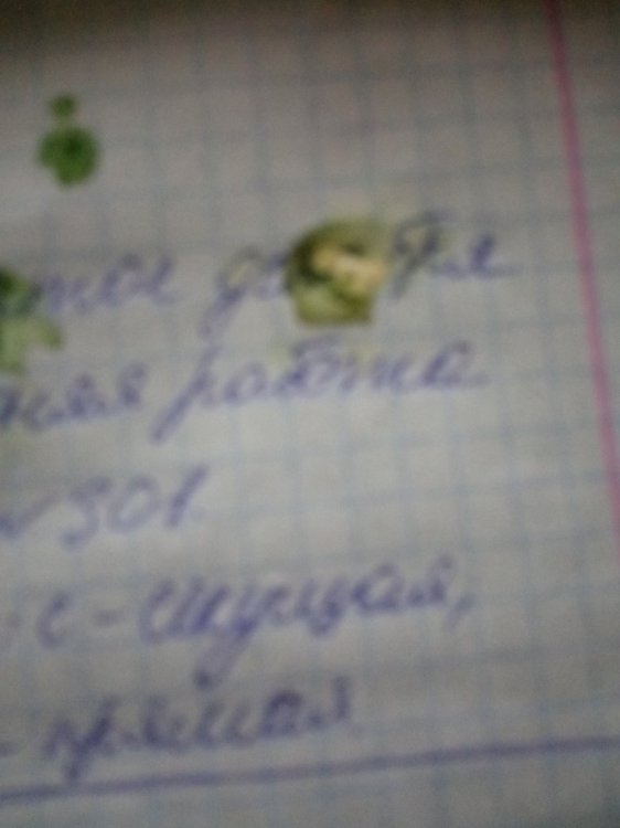 IMG_20190317_095524.jpg