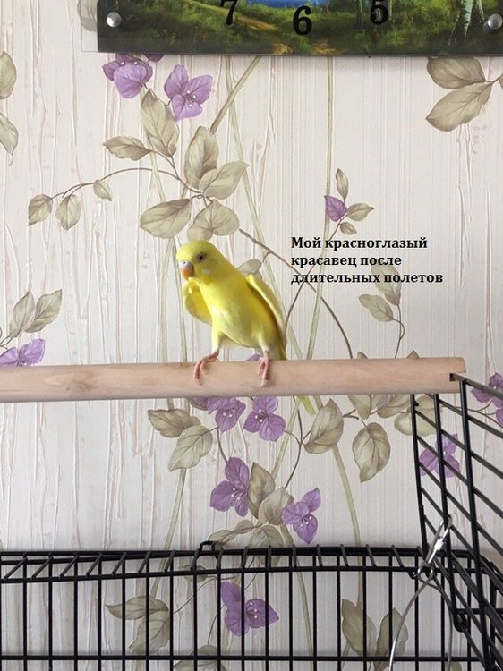 ch4tbgCLQDk.jpg