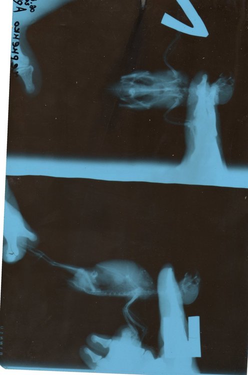 img001.jpg