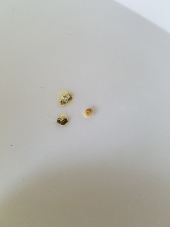 20190330_142709.jpg