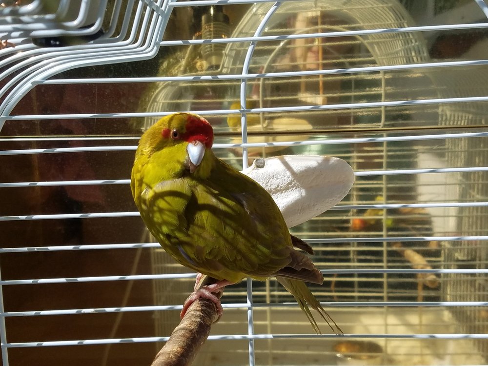 20190402_112154.jpg
