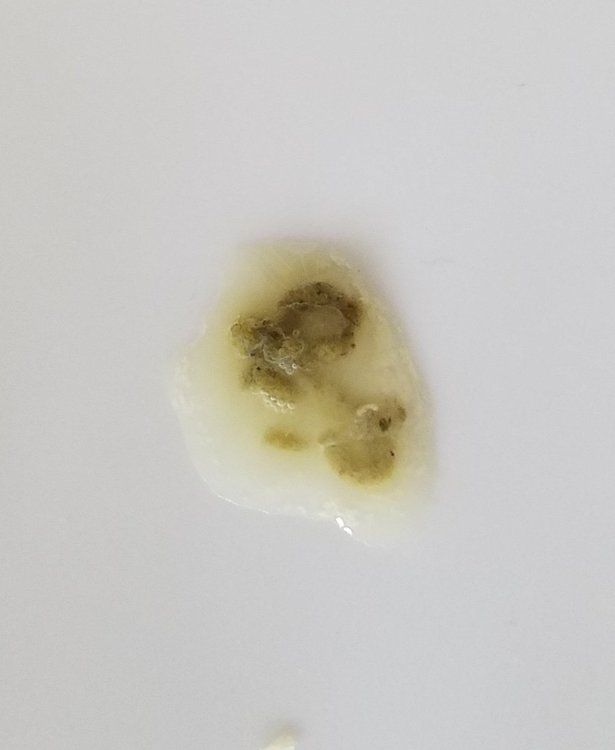 20190402_201416.jpg