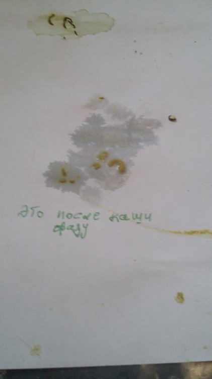 20190403_131511.jpg