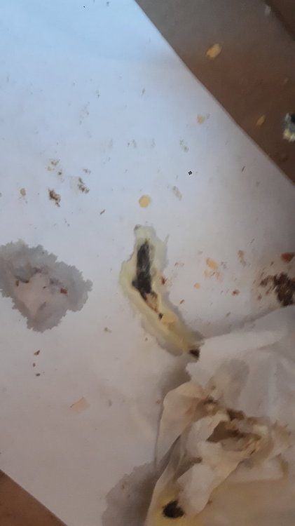 20190404_074657.jpg