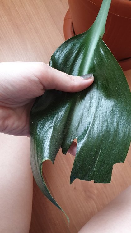 20190414_164212.jpg
