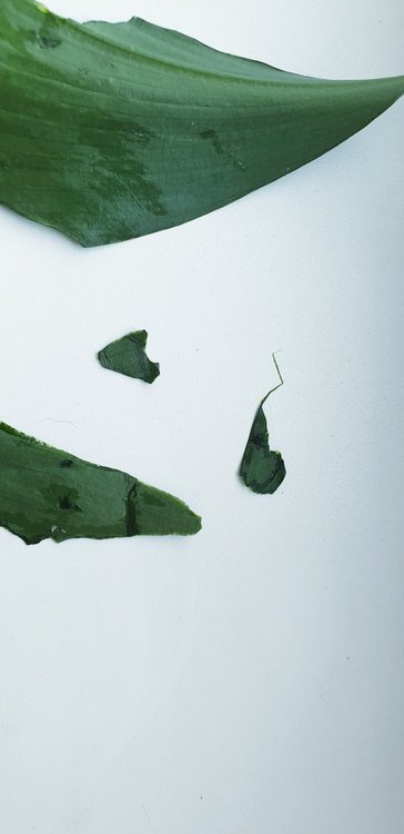 20190414_164433.jpg