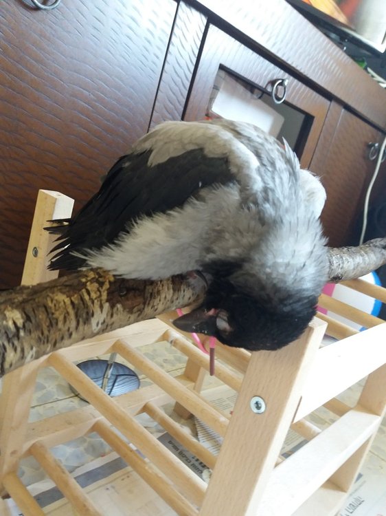 20190417_102122.jpg
