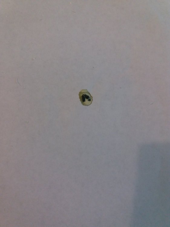 20190425_171731.jpg