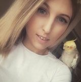 Dashko