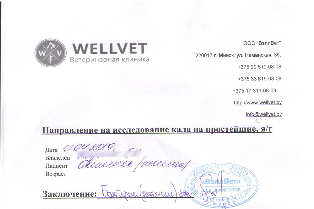 wellvet2 — копия.jpg