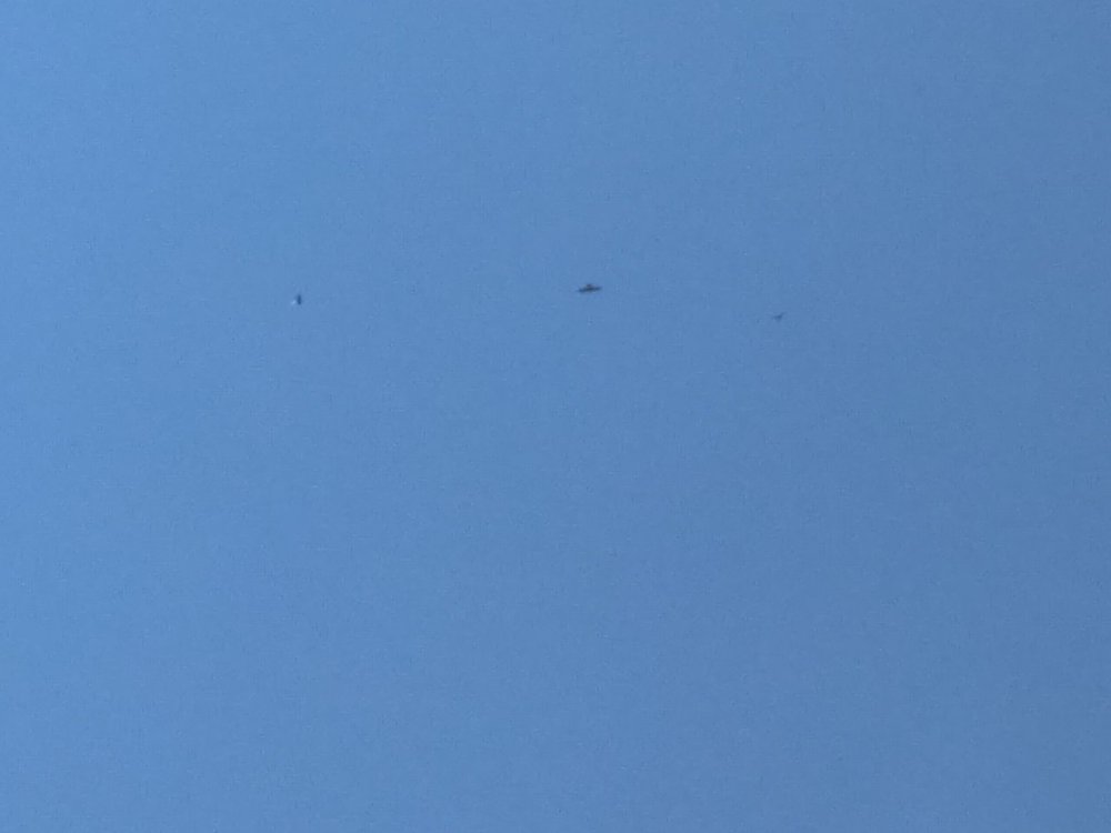 IMG_20190414_105159.jpg