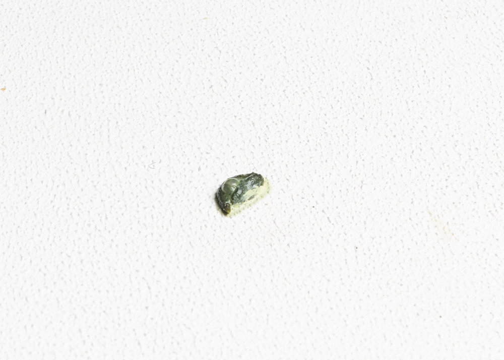 IYF09575.jpg