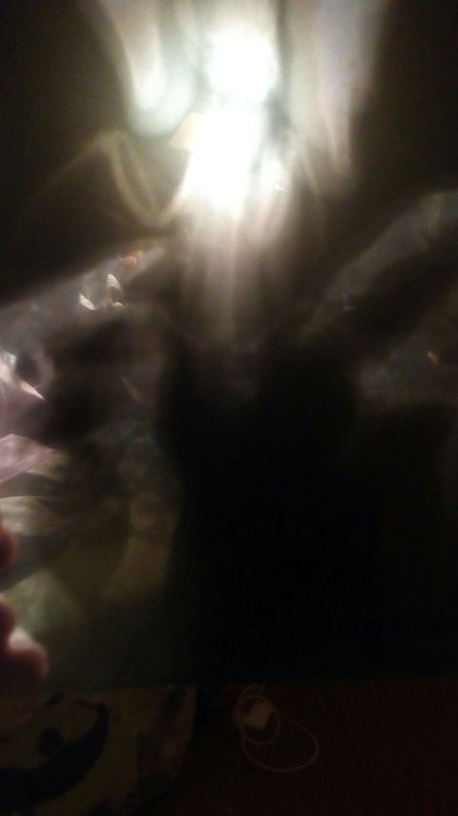 1556811540304-990601353.jpg
