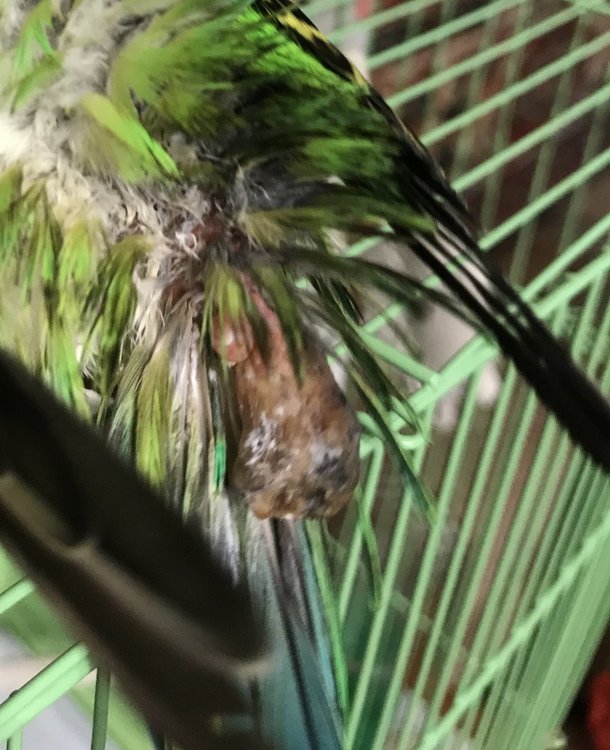 159A3406-3045-4AF6-A967-24640D71CC56.jpeg