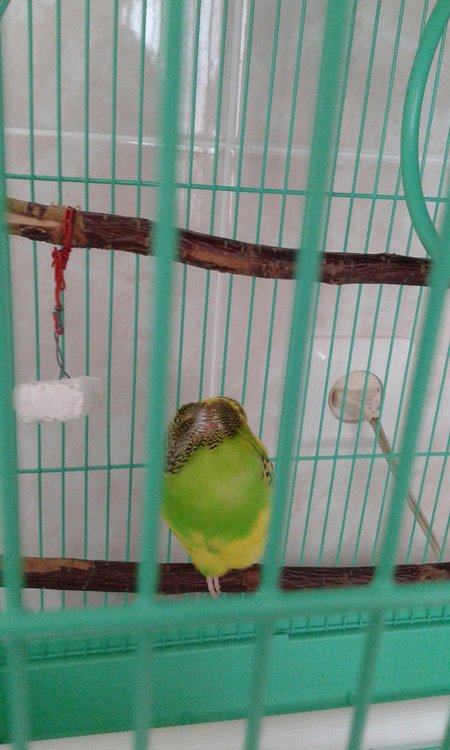 20190501_152013.jpg