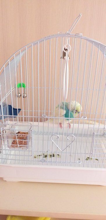 20190513_075254.jpg