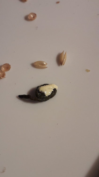 20190517_215719.jpg