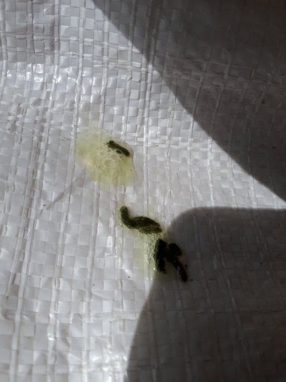 20190519_135341.jpg