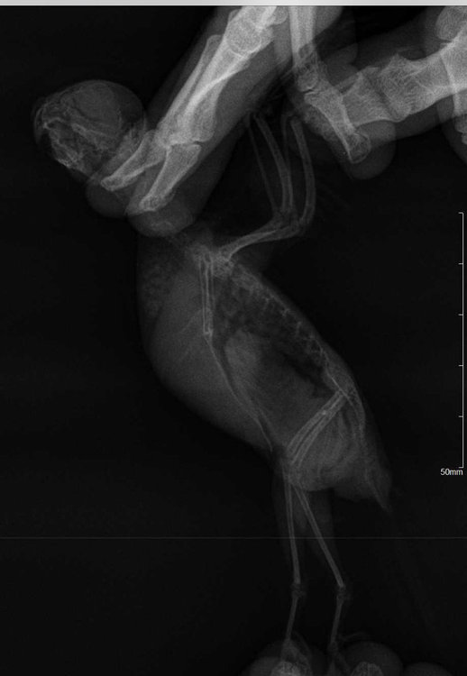 73F31840-21A0-46EF-92AC-003E58B9D910.jpeg