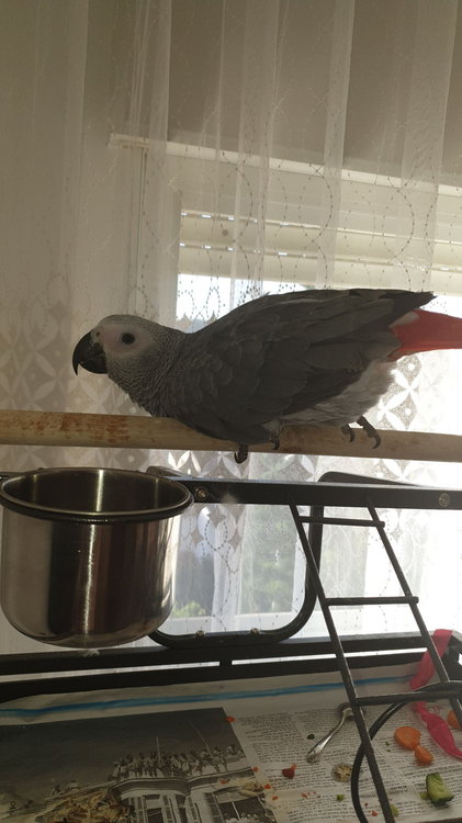 IMG-20190518-WA0009.jpeg