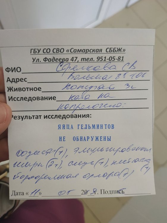 IMG_20190511_121749.jpg