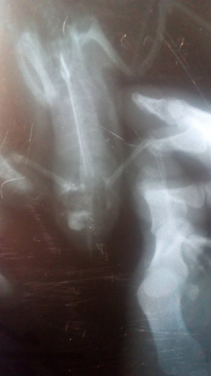 P_20190504_105837.thumb.jpg.ef6f8611e0872b009625e8ca3bcc6d08.jpg