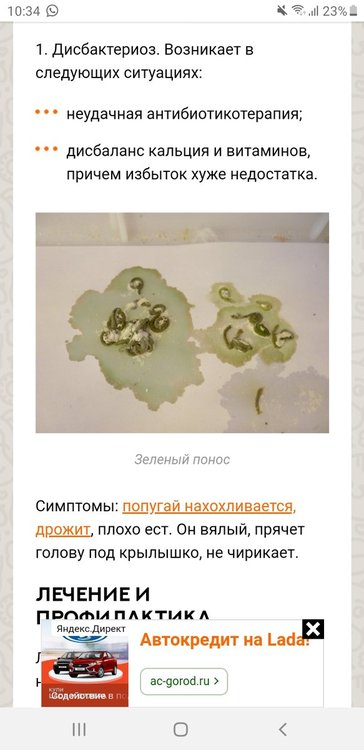 Screenshot_20190514-103428_Yandex.jpg